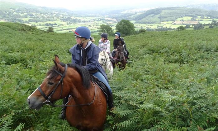 Trail riding with Ellesmere Riding Centre